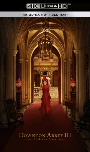 Downton Abbey III : Le Grand Final - The Grand Finale MULTI TRUEFRENCH WEBRIP 1080p 2025