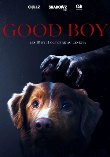 Good Boy MULTI WEBRIP 1080p 2025