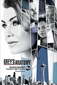 Grey's Anatomy S14E22 VOSTFR HDTV