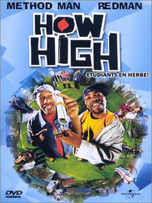 How High FRENCH DVDRIP 2001